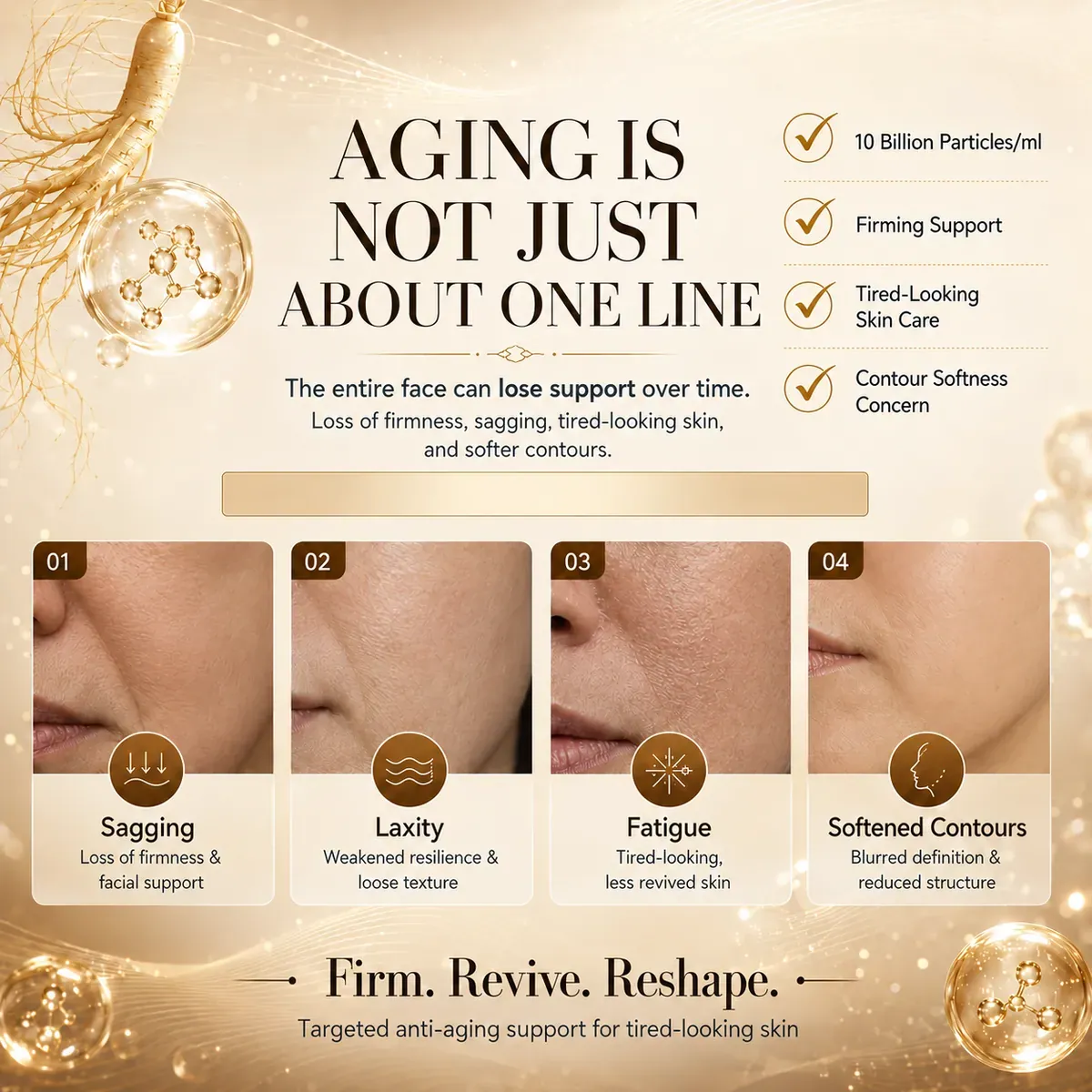 Ginseng Exosome Ampoule — Anti-Fatigue Glow & Firming: ampoule set, (30 mg + 1.5 ml) × 16 per box
